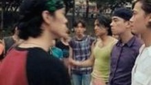 成都市娱乐圈揭秘：关注www.199麻豆的最新动态