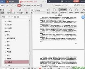 全面解析：糖心破解版官方版下载的现状与使用体验