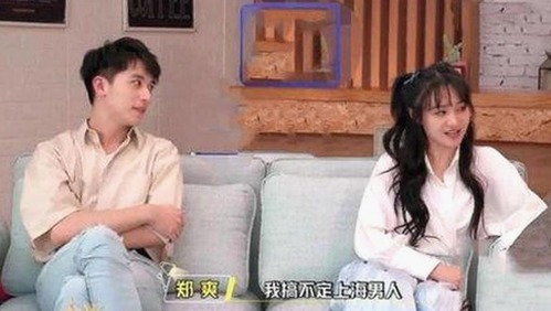 擼擼社免费看黄 视频官方版：最新在线观看平台介绍与使用现状