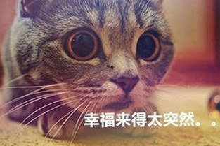 《乱公伦媳》欧美免费版：最新在线观看指南与资源推荐