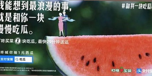 黄页网站官方版下载最新版本带来全新体验
