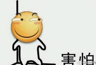 最新版本的 www.199麻豆最新版下载 全面升级带来新体验